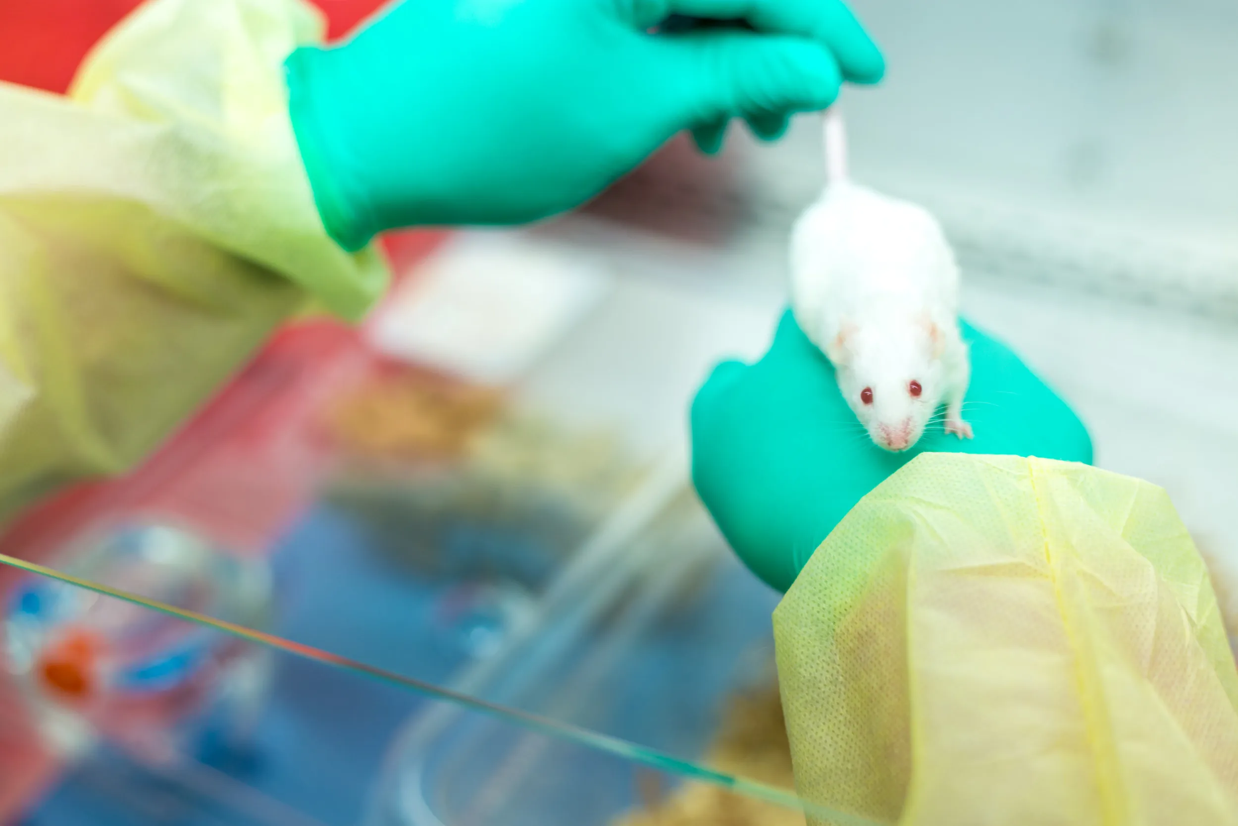 Vivarium Management & Animal Husbandry Service Mispro